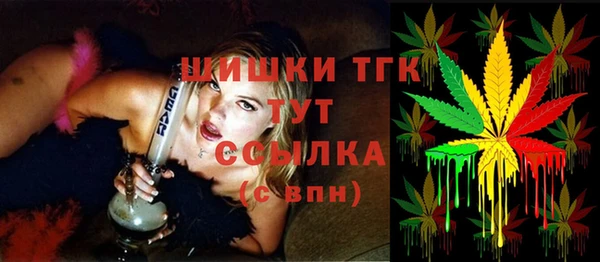 дмт Алексин