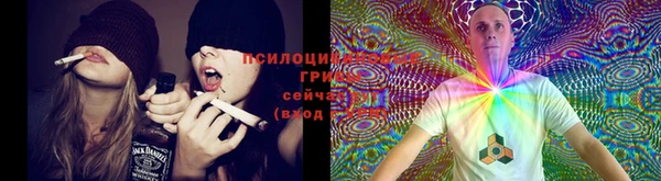 тгк Алексеевка