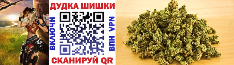 darknet телеграм Аркадак Бошки Шишки планчик